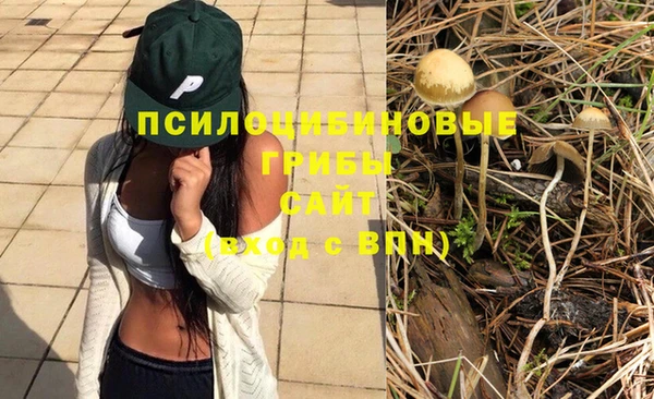 каннабис Алексеевка