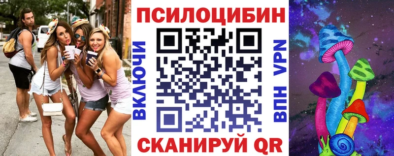 Галлюциногенные грибы Psilocybine cubensis Уссурийск